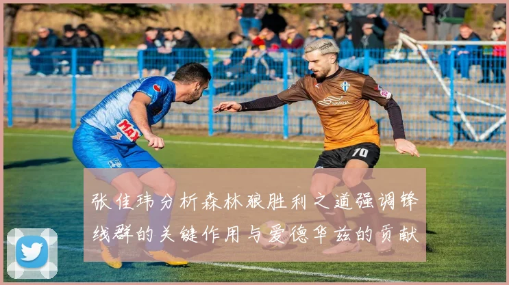 张佳玮分析森林狼胜利之道强调锋线群的关键作用与爱德华兹的贡献