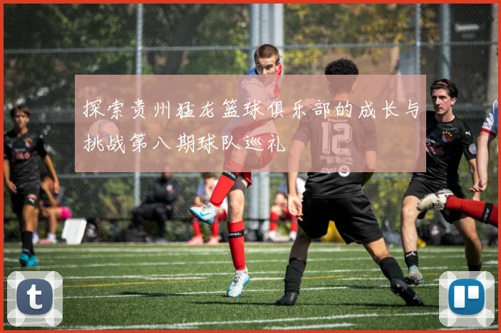探索贵州猛龙篮球俱乐部的成长与挑战第八期球队巡礼