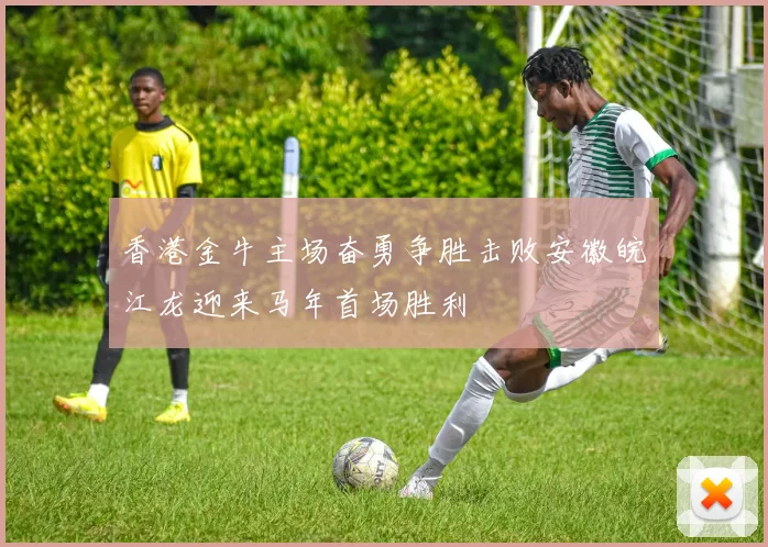 香港金牛主场奋勇争胜击败安徽皖江龙迎来马年首场胜利